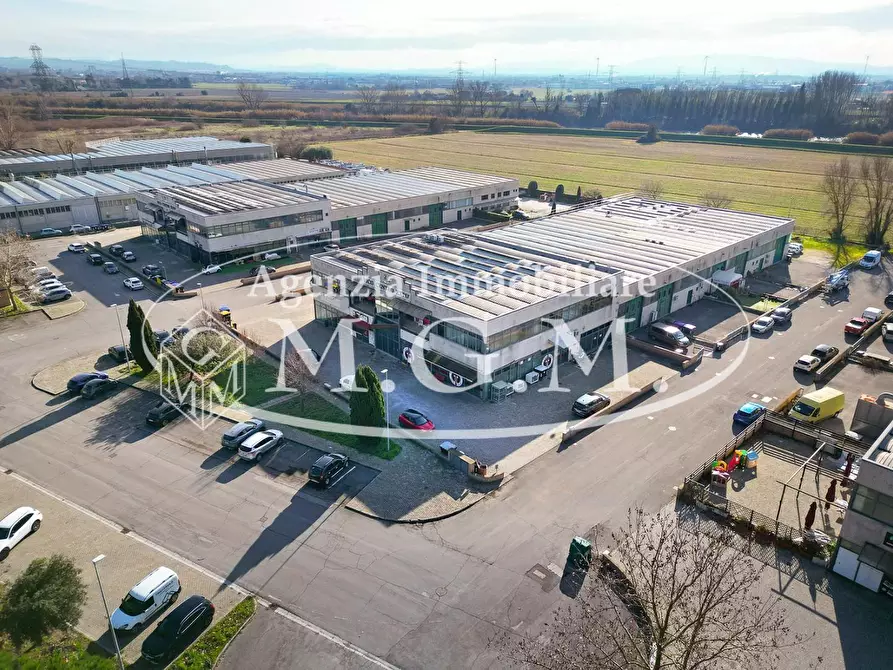 Immagine 6 di Attività artigianale in vendita  a Vicopisano