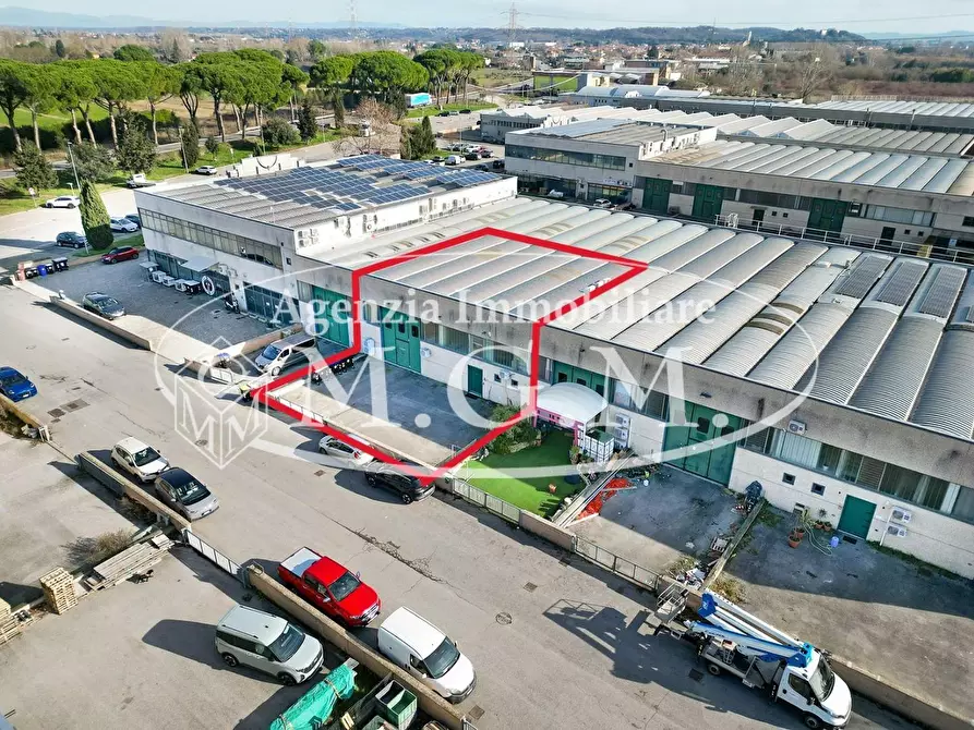 Immagine 3 di Attività artigianale in vendita  a Vicopisano