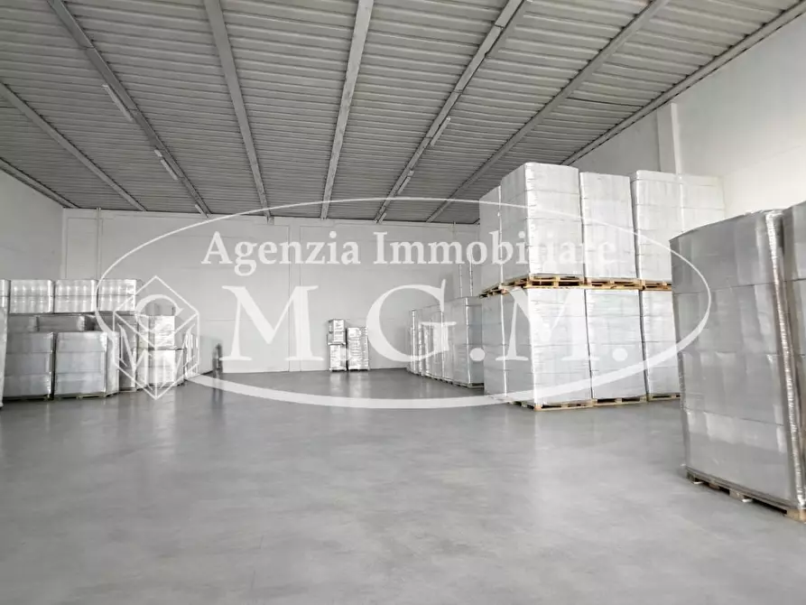 Immagine 1 di Attività artigianale in affitto  a Bientina