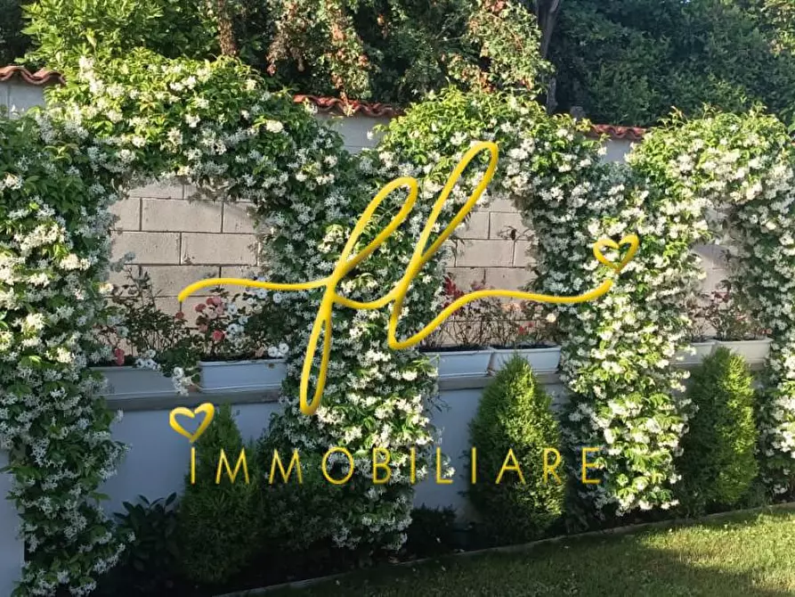 Immagine 13 di Terratetto in vendita  a Livorno