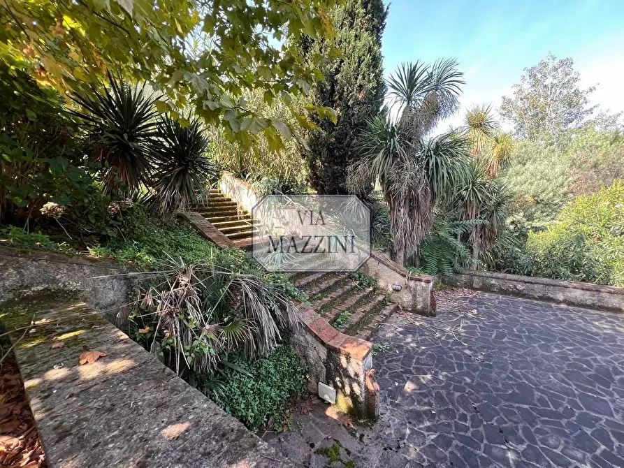 Immagine 40 di Rustico / casale in vendita  a Pietrasanta