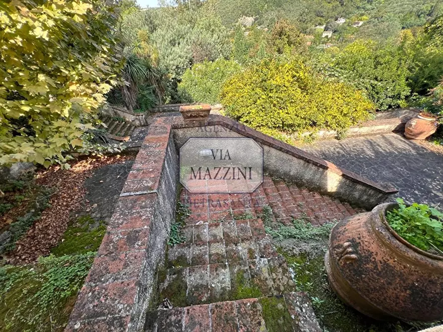 Immagine 36 di Rustico / casale in vendita  a Pietrasanta