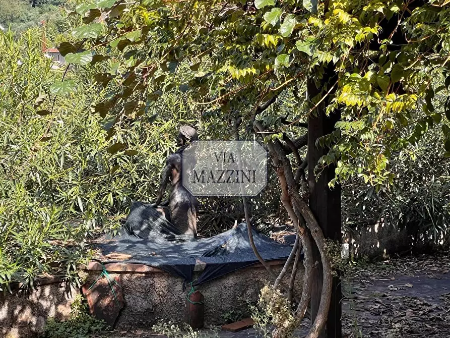 Immagine 42 di Rustico / casale in vendita  a Pietrasanta