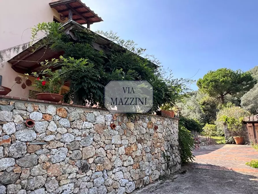 Immagine 16 di Rustico / casale in vendita  a Pietrasanta