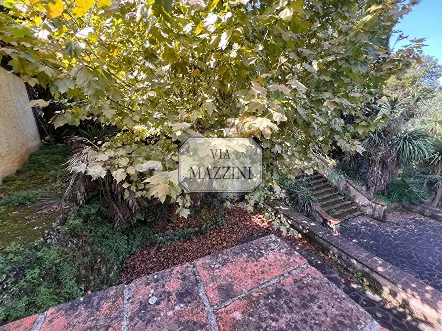 Immagine 39 di Rustico / casale in vendita  a Pietrasanta