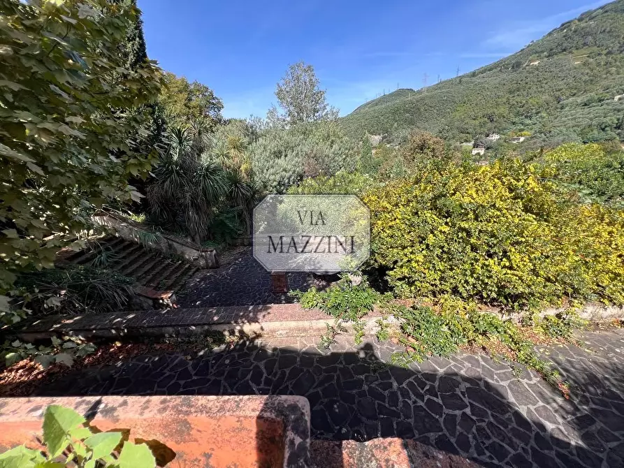 Immagine 38 di Rustico / casale in vendita  a Pietrasanta