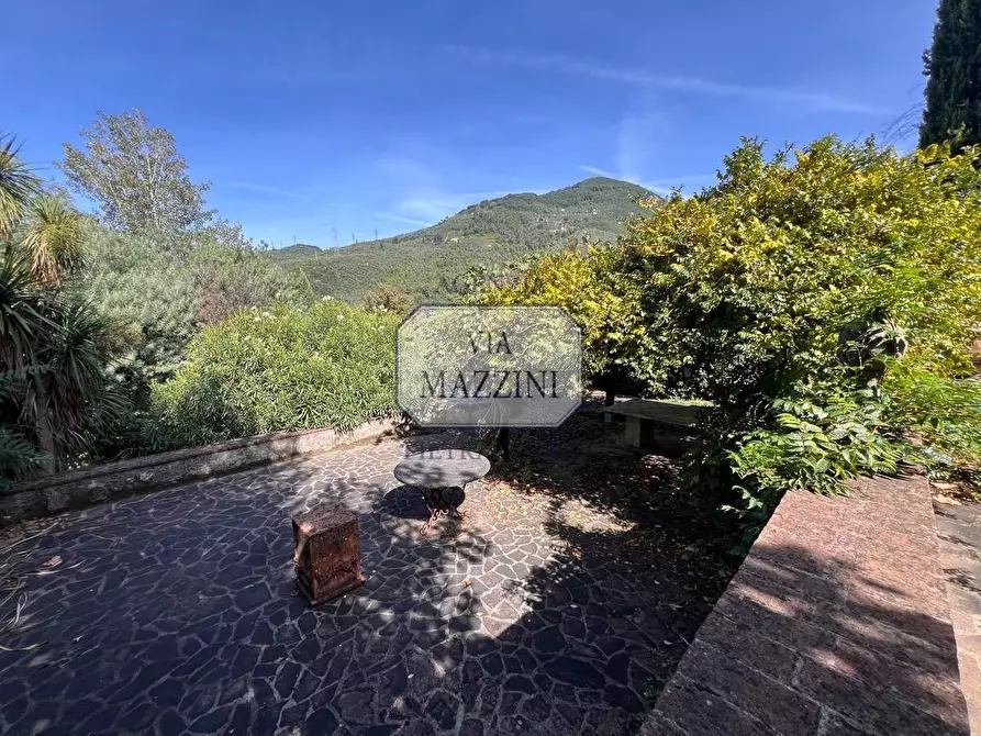Immagine 41 di Rustico / casale in vendita  a Pietrasanta