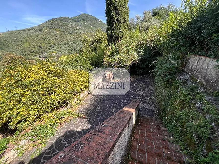Immagine 37 di Rustico / casale in vendita  a Pietrasanta