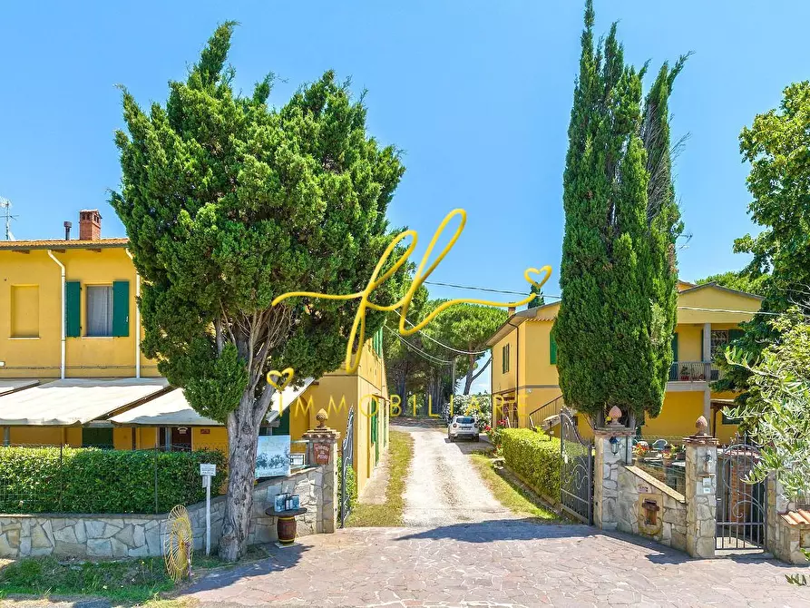 Immagine 5 di Agriturismo in vendita  a Cecina