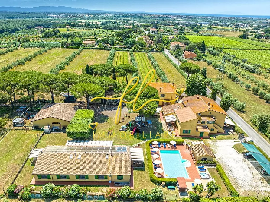 Immagine 7 di Agriturismo in vendita  a Cecina