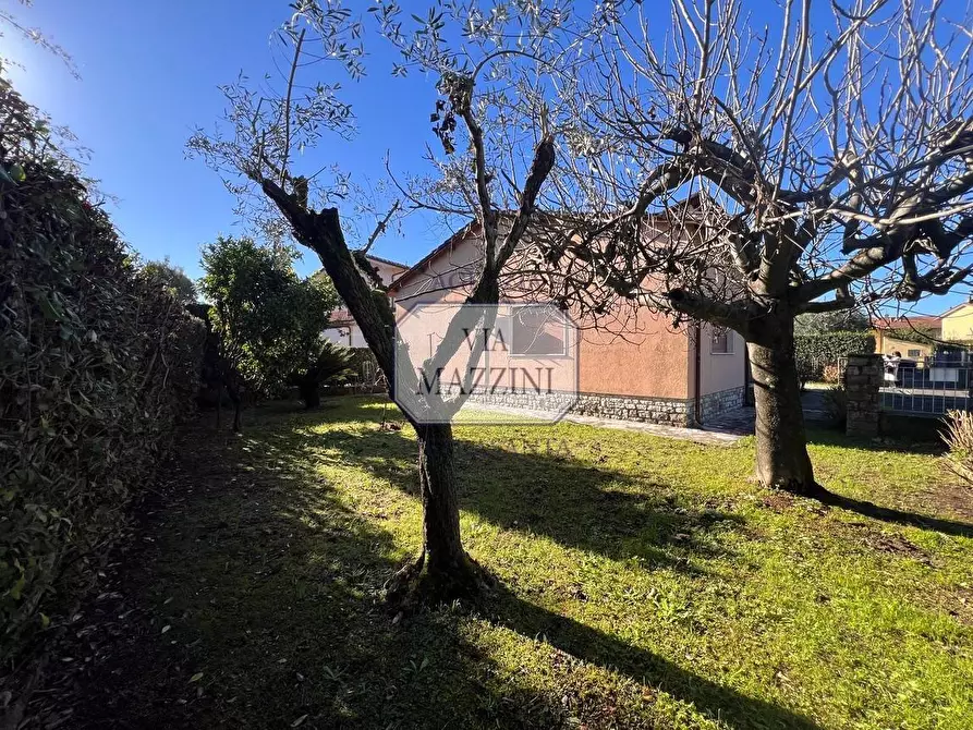 Immagine 15 di Villa in vendita  a Pietrasanta