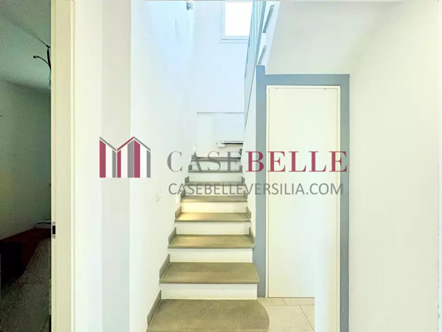 Immagine 24 di Villa in vendita  a Camaiore