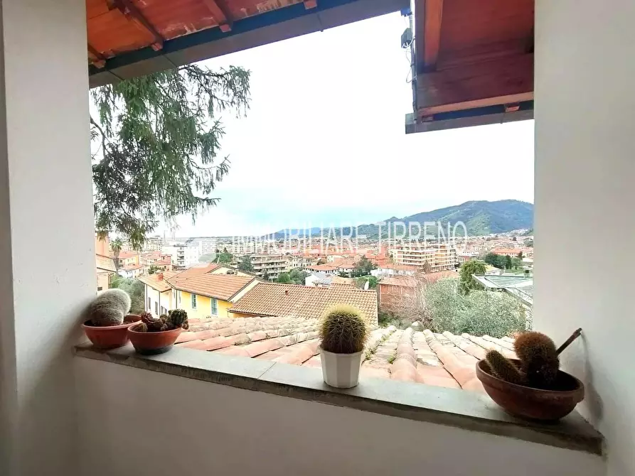 Immagine 18 di Villa in vendita  a Massa