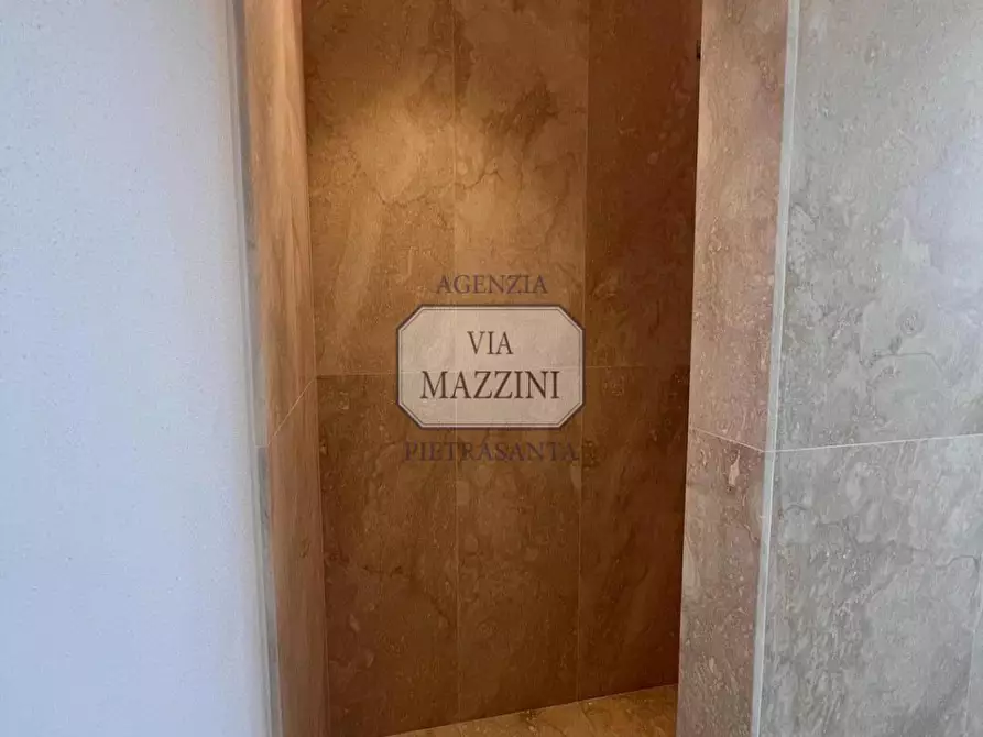 Immagine 21 di Villa in vendita  a Pietrasanta