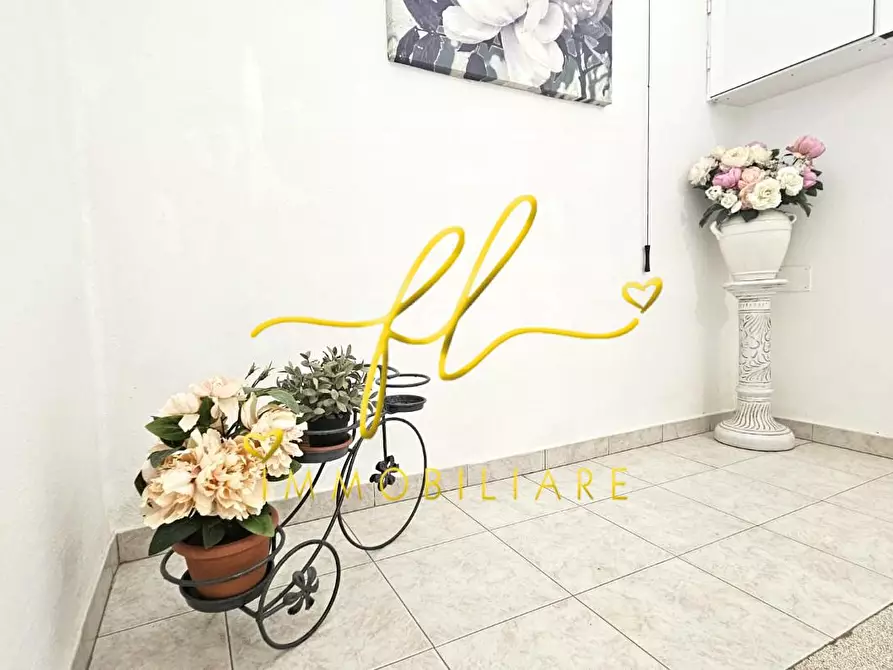 Immagine 14 di Appartamento in vendita  a Rosignano Marittimo