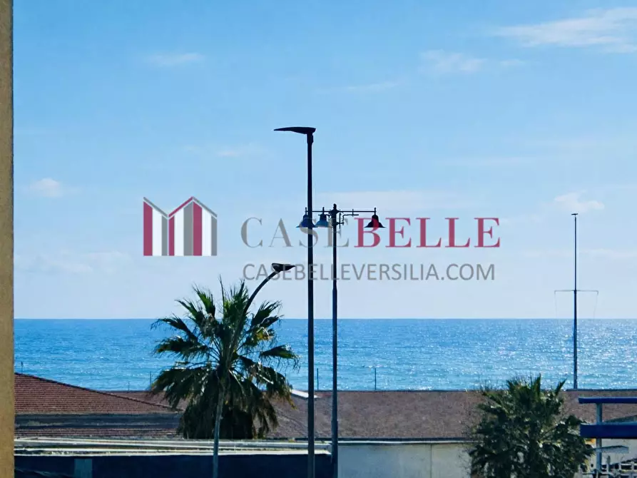 Immagine 28 di Appartamento in vendita  a Camaiore