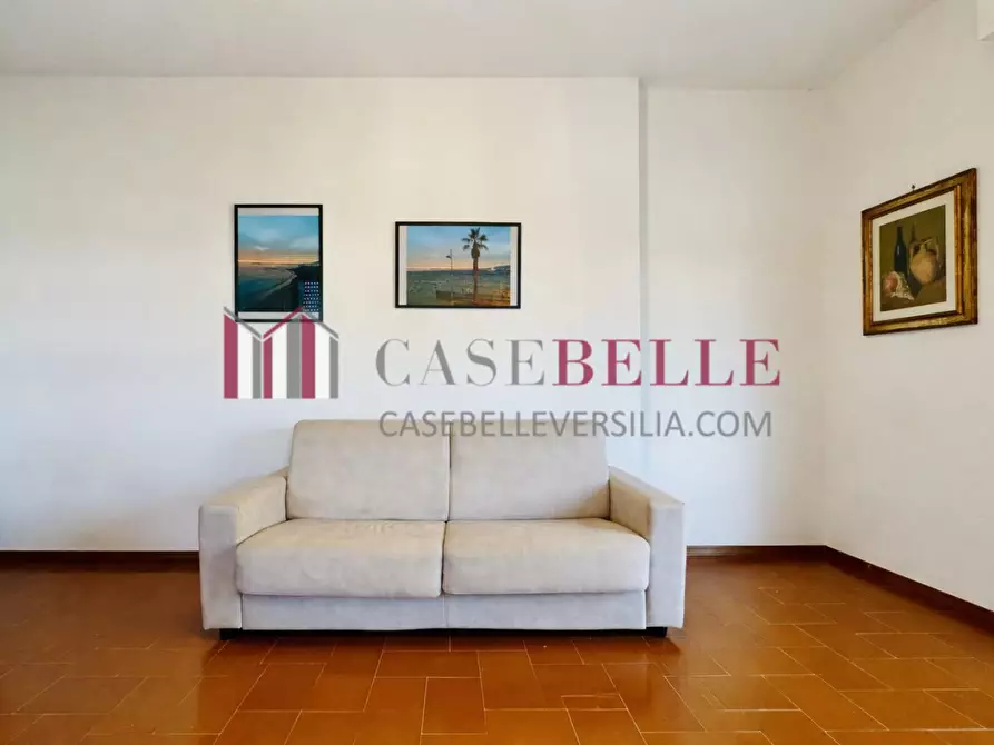 Immagine 4 di Appartamento in vendita  a Camaiore