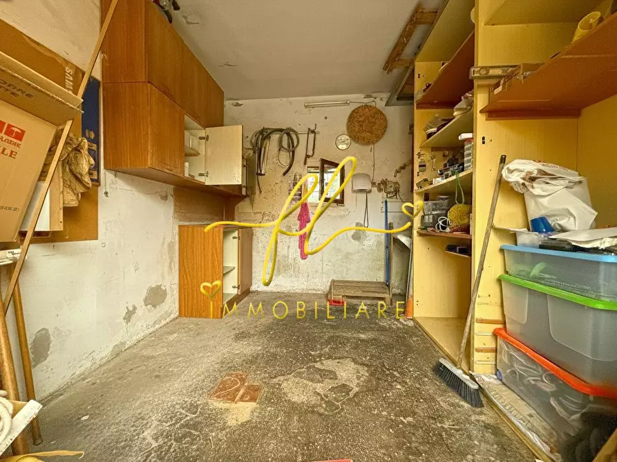 Immagine 12 di Appartamento in vendita  a Cecina