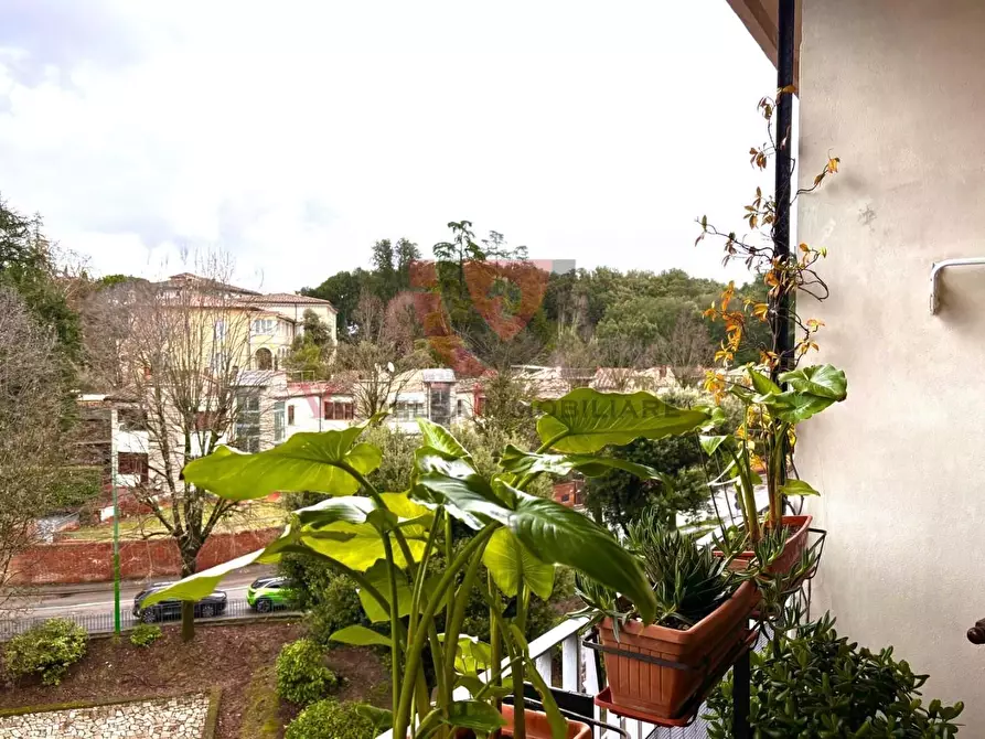 Immagine 8 di Appartamento in vendita  a Siena