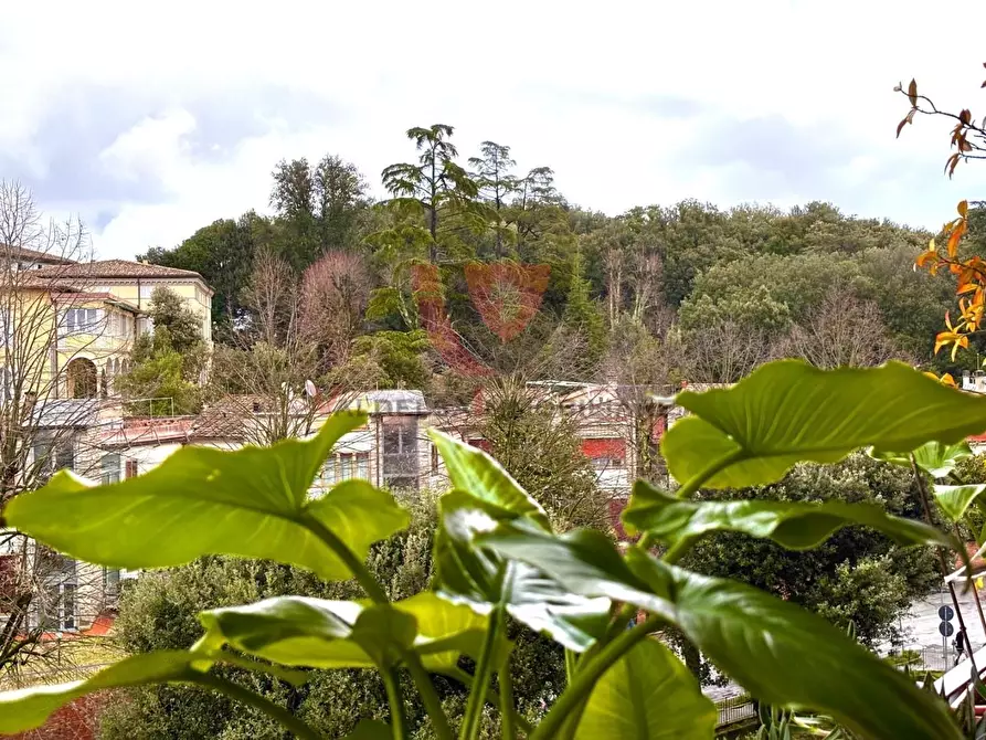 Immagine 4 di Appartamento in vendita  a Siena