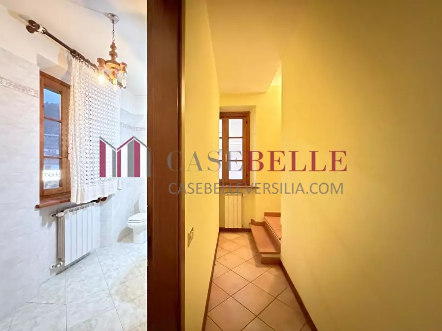 Immagine 15 di Terratetto in vendita  a Camaiore