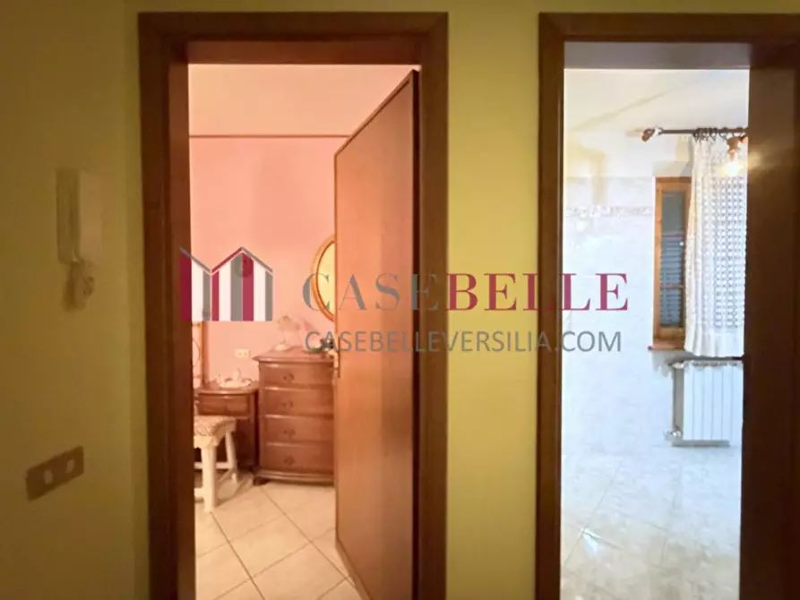 Immagine 10 di Terratetto in vendita  a Camaiore