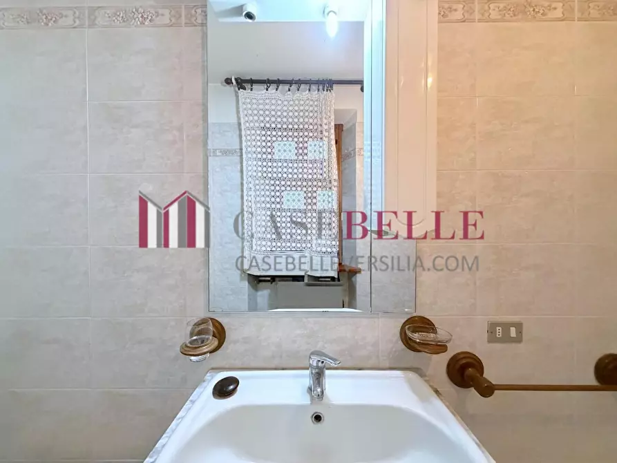 Immagine 18 di Terratetto in vendita  a Camaiore