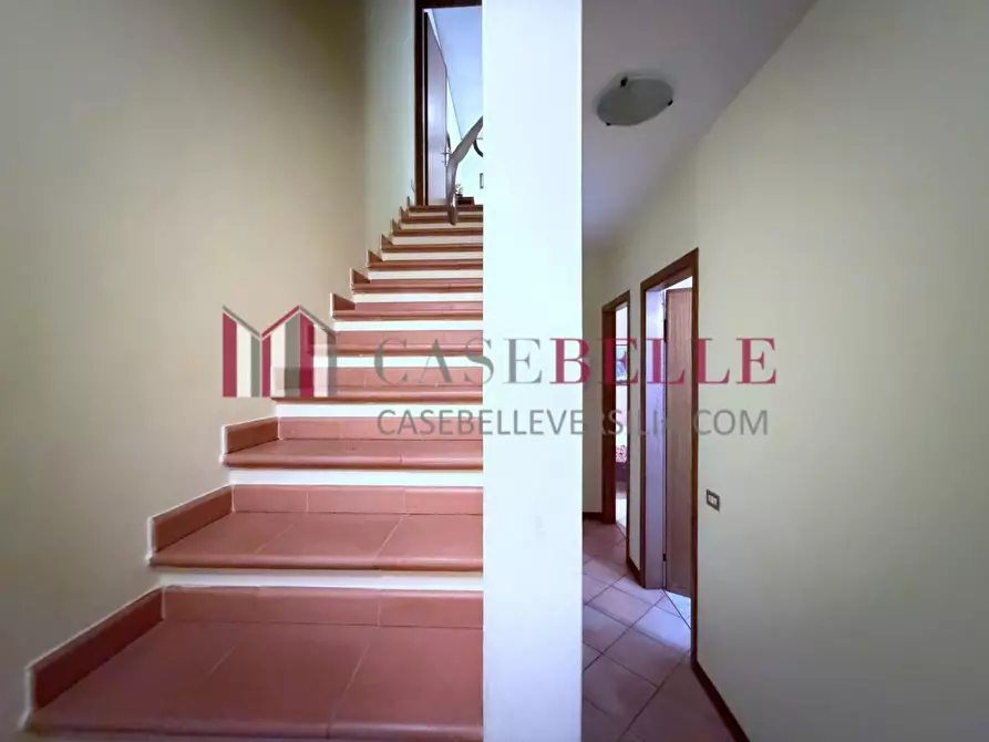 Immagine 21 di Terratetto in vendita  a Camaiore