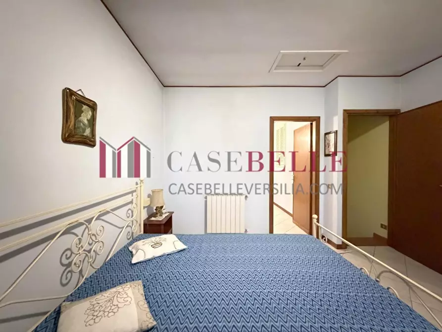 Immagine 24 di Terratetto in vendita  a Camaiore