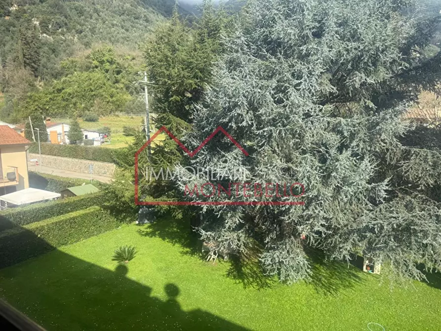 Immagine 37 di Appartamento in vendita  a Camaiore