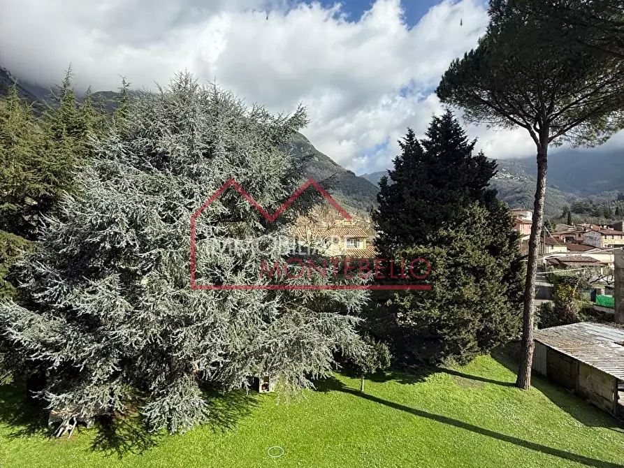 Immagine 39 di Appartamento in vendita  a Camaiore