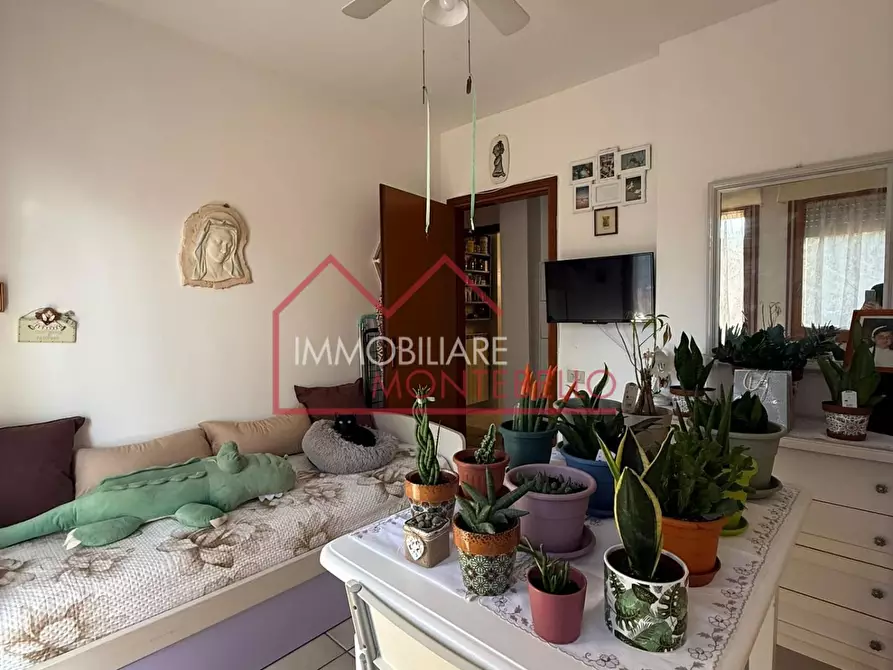 Immagine 4 di Appartamento in vendita  a Camaiore