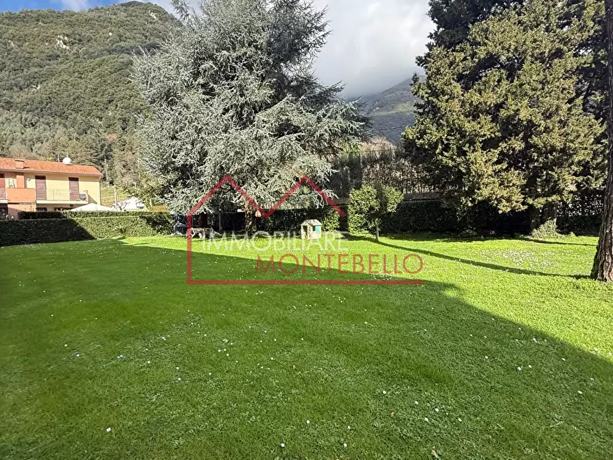 Immagine 44 di Appartamento in vendita  a Camaiore