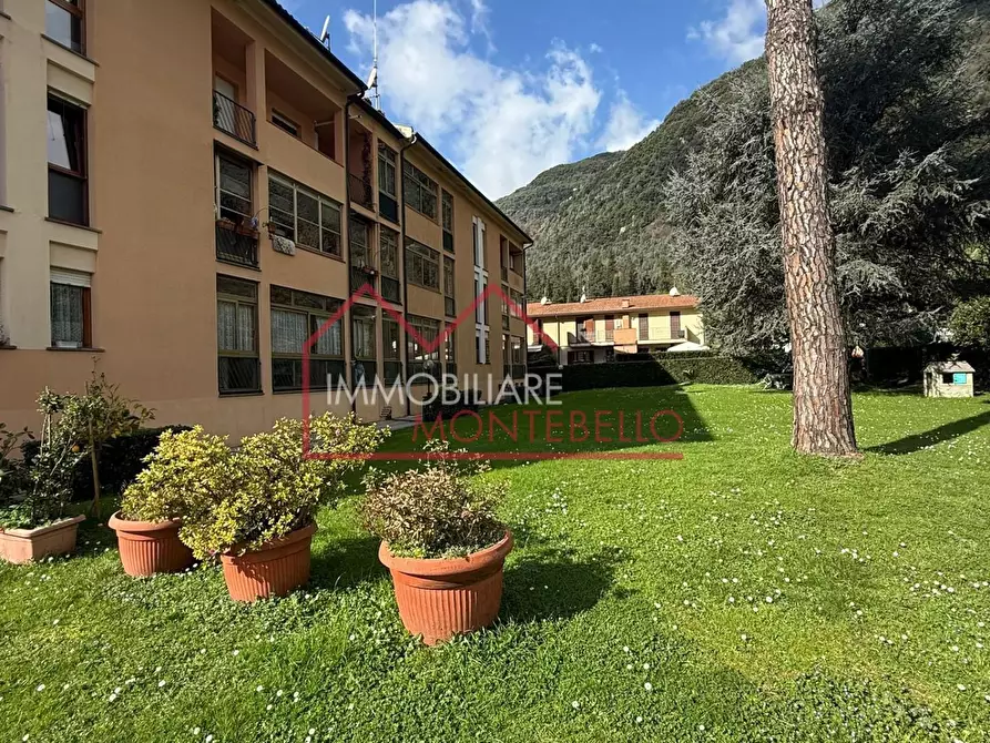 Immagine 40 di Appartamento in vendita  a Camaiore