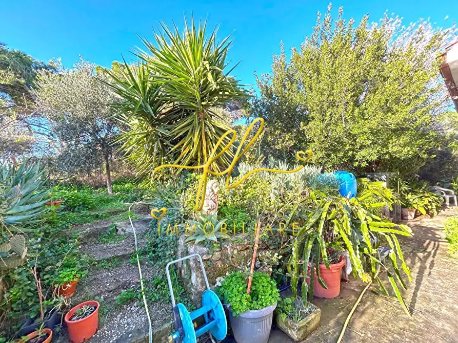 Immagine 13 di Villa in vendita  a Capoliveri