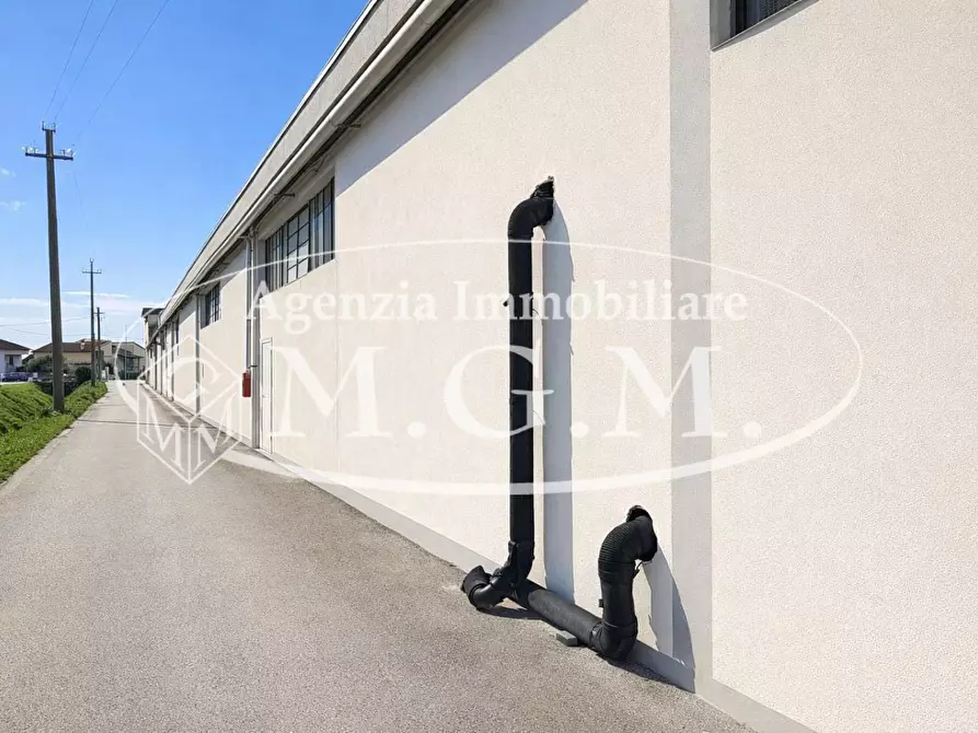 Immagine 5 di Capannone industriale in vendita  a Bientina