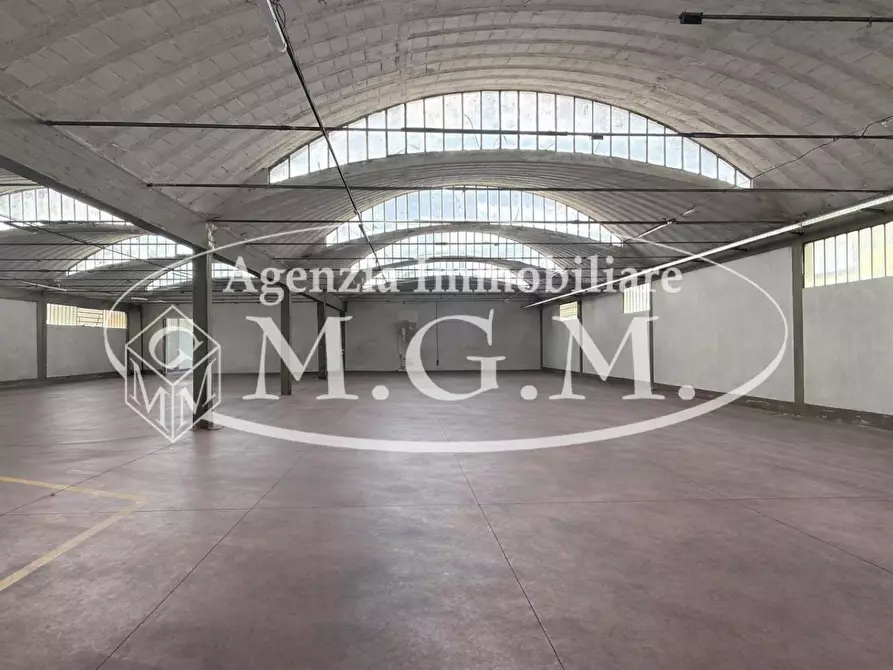 Immagine 28 di Capannone industriale in vendita  a Bientina