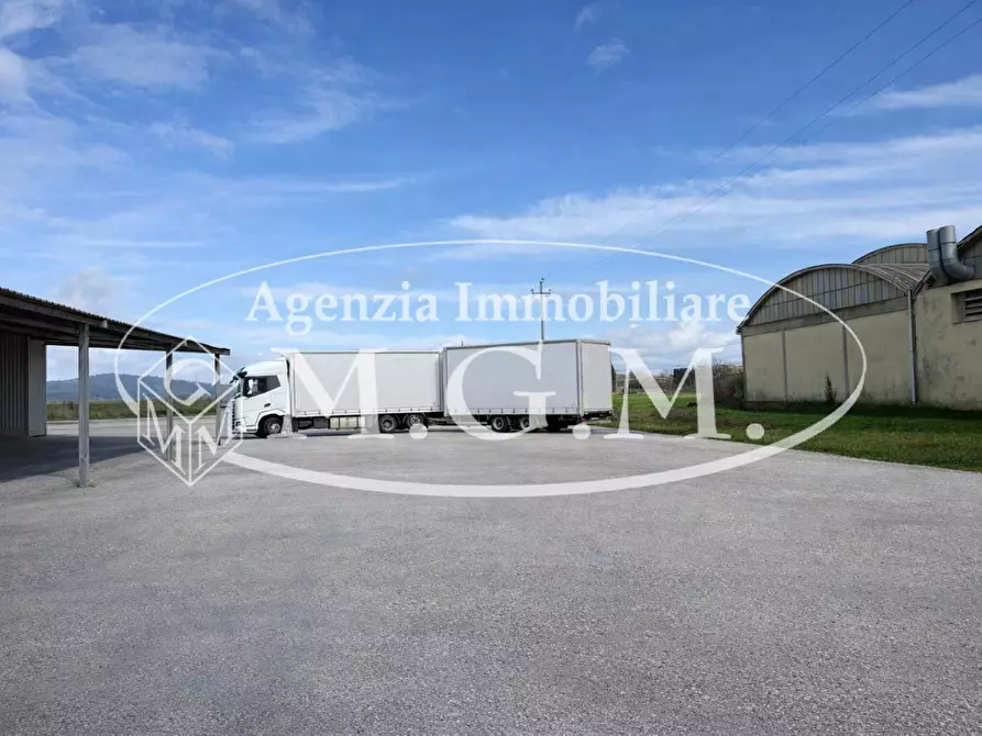 Immagine 8 di Capannone industriale in affitto  a Bientina