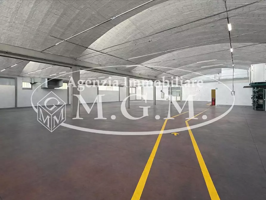 Immagine 27 di Capannone industriale in affitto  a Bientina