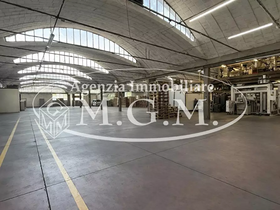 Immagine 30 di Capannone industriale in affitto  a Bientina