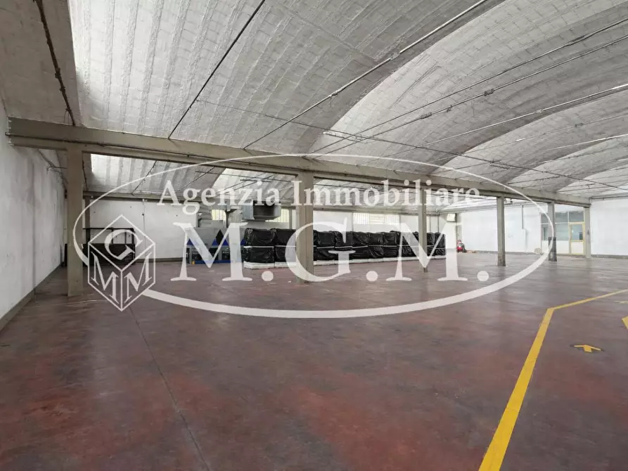 Immagine 26 di Capannone industriale in affitto  a Bientina