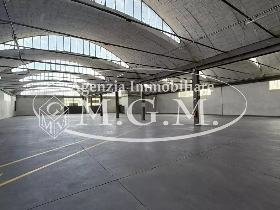 Immagine 31 di Capannone industriale in affitto  a Bientina