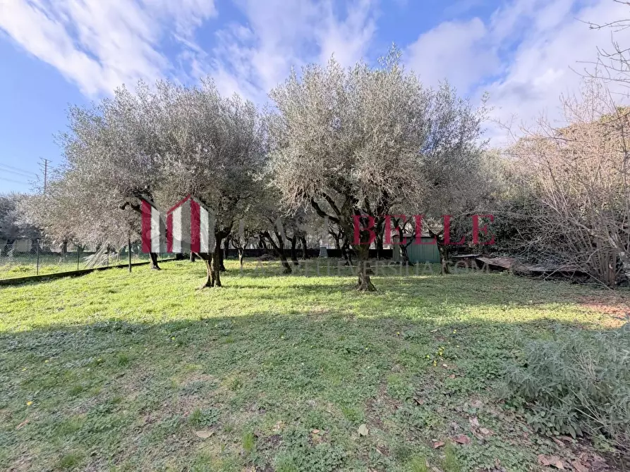 Immagine 52 di Casa indipendente in vendita  a Seravezza