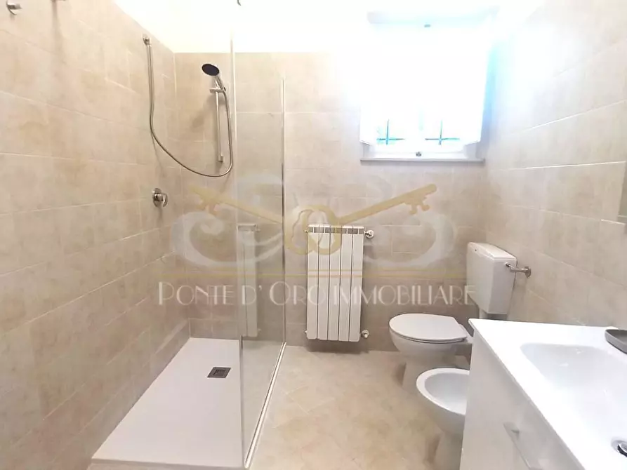 Immagine 14 di Appartamento in affitto  a San Giuliano Terme