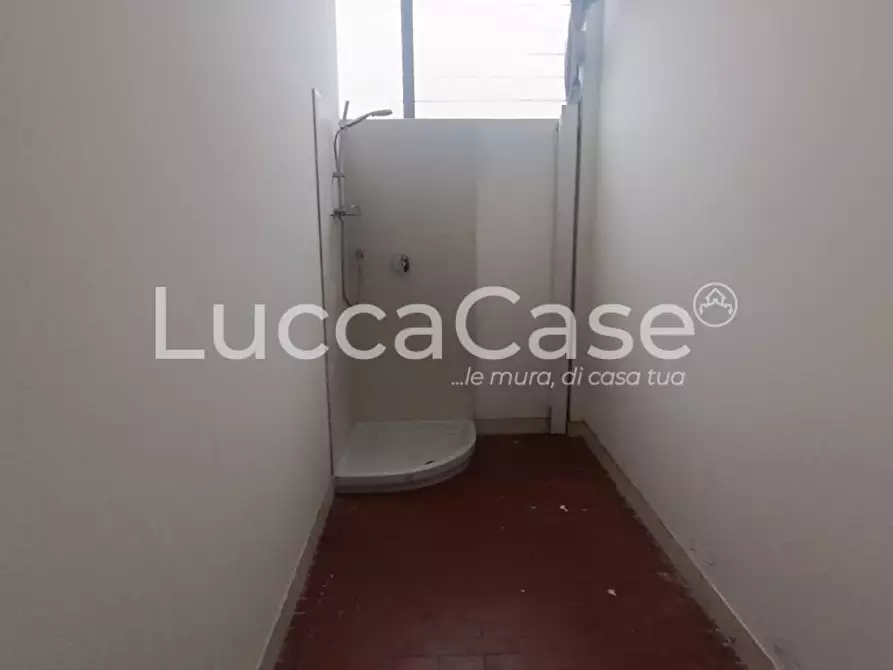 Immagine 15 di Capannone industriale in affitto  a Capannori