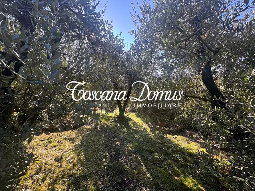 Immagine 43 di Terratetto in vendita  a Monteriggioni