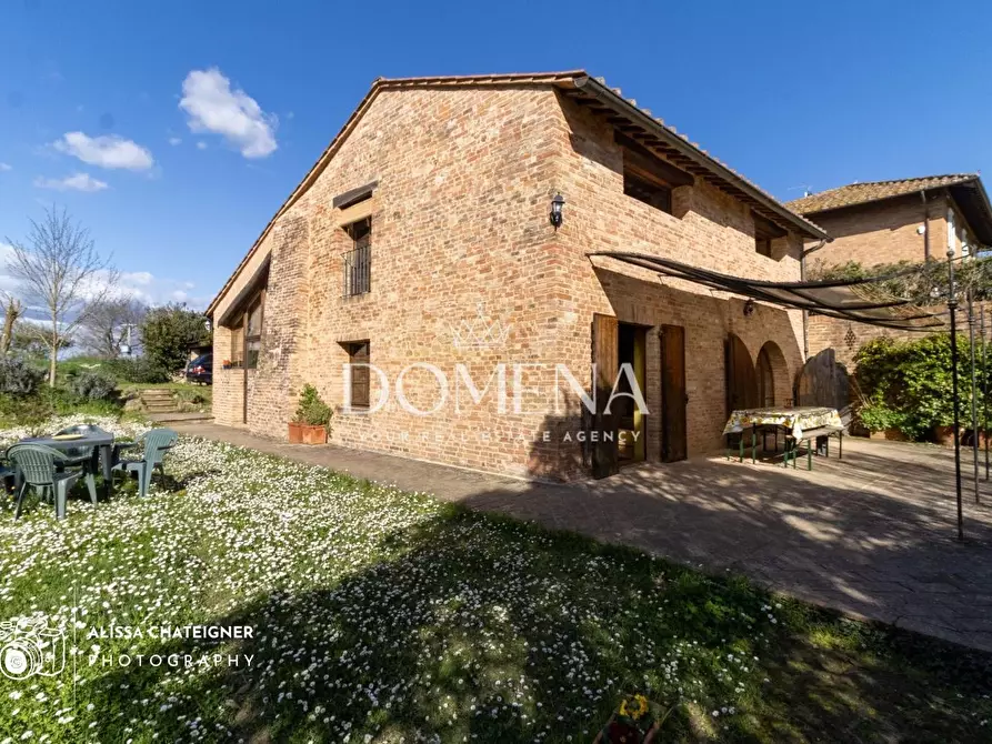 Immagine 3 di Casa indipendente in vendita  a Sovicille