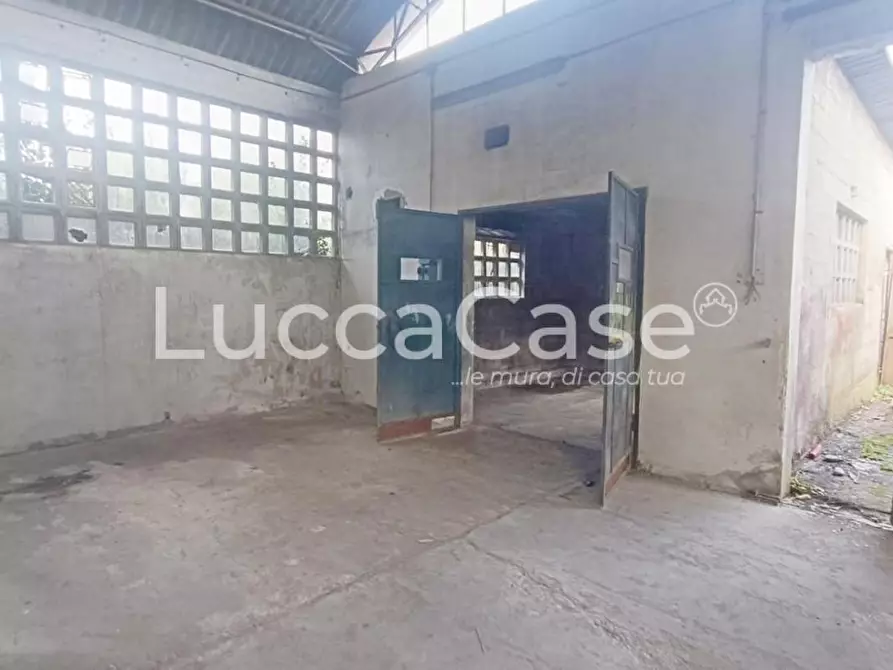 Immagine 7 di Magazzino in affitto  a Capannori