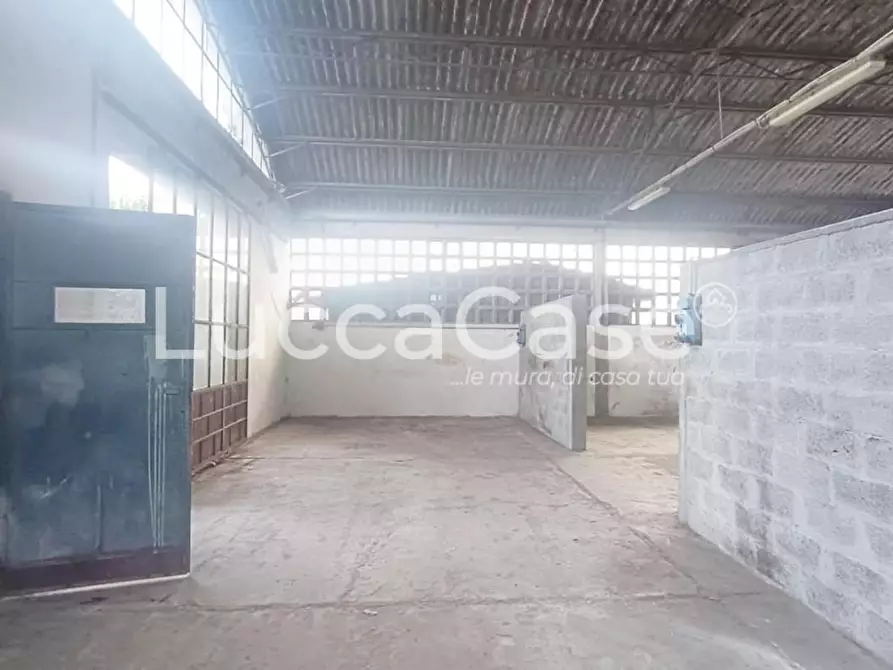 Immagine 6 di Magazzino in affitto  a Capannori