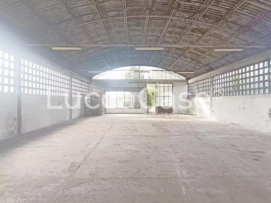 Immagine 4 di Magazzino in affitto  a Capannori